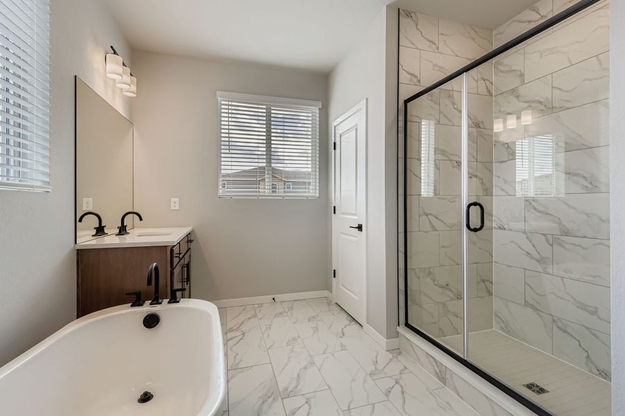 New Home in Windsor, CO. - Slide 16 New Home in Windsor, CO. - Slide 16