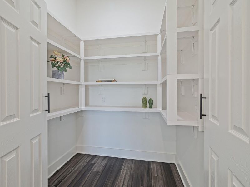Tons of pantry storage