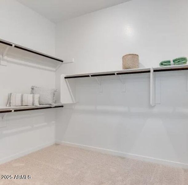 Owners Walk in Closet Owners Walk in Closet