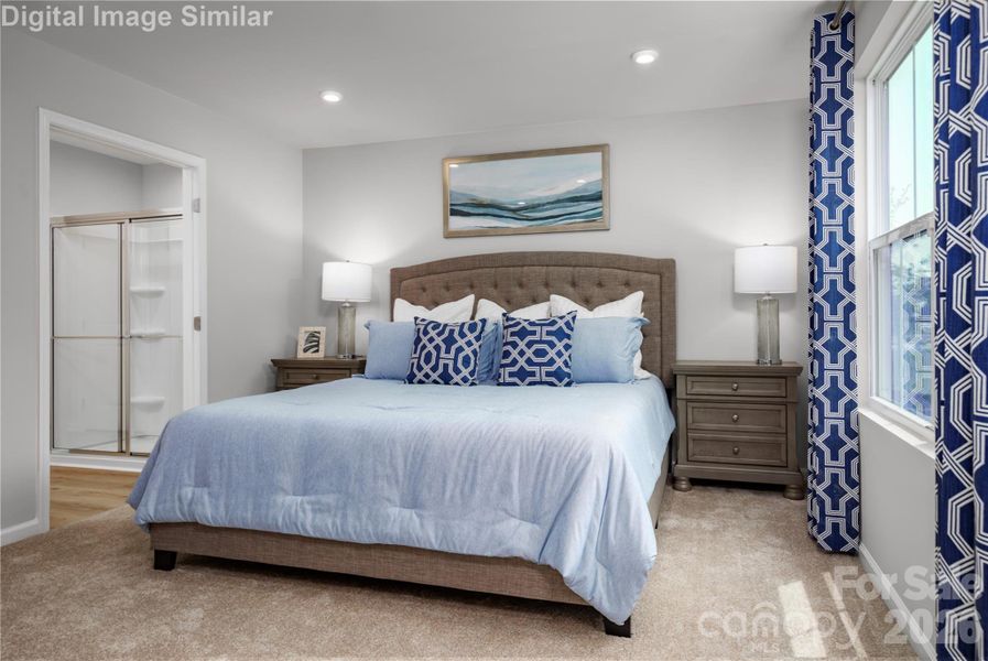 Primary Bedroom on the main level! Generous Proportions, Soft Natural Light and a Peaceful Ambience