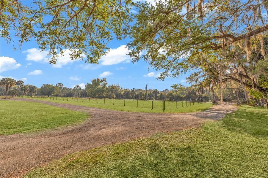 Natural landscape and outdoor views near  in Osteen (Image 37).