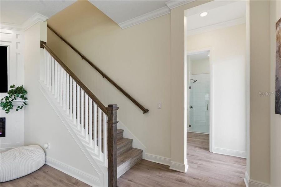 Furnished interior view inside a new home in , San Antonio (Image 16).