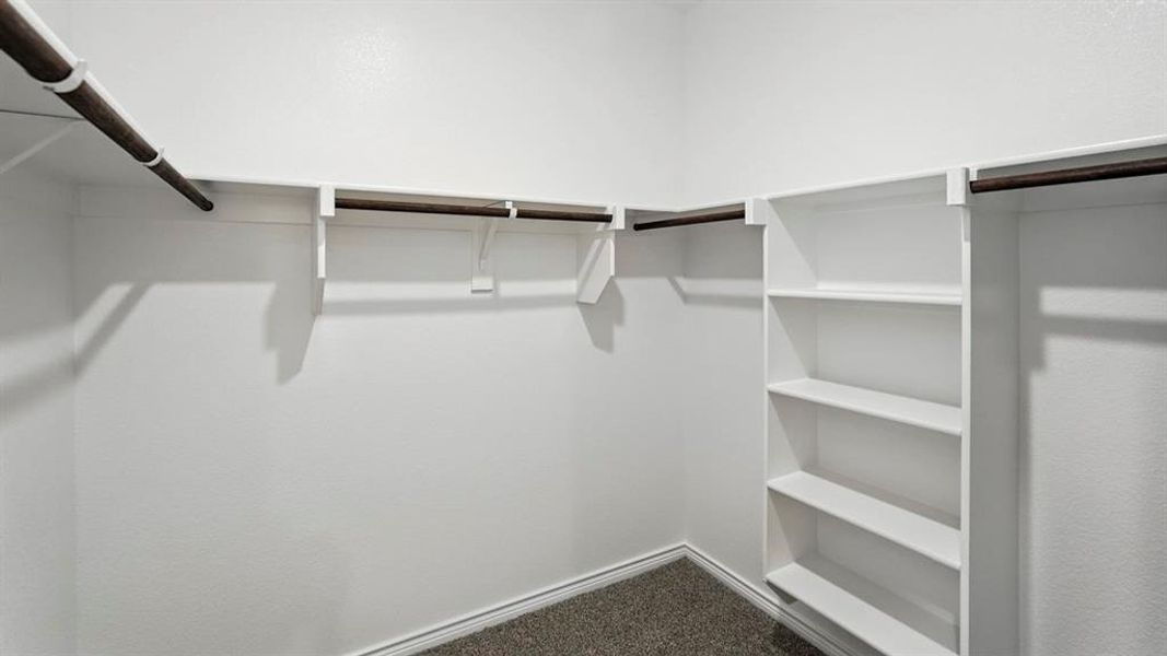 Spacious closet featuring carpet flooring