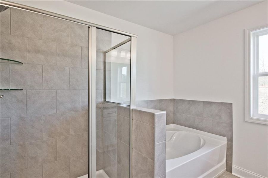 Furnished interior view inside a new home in Somerset at Riverbrook, Gainesville (Image 11). Furnished interior view inside a new home in Somerset at Riverbrook, Gainesville (Image 11).