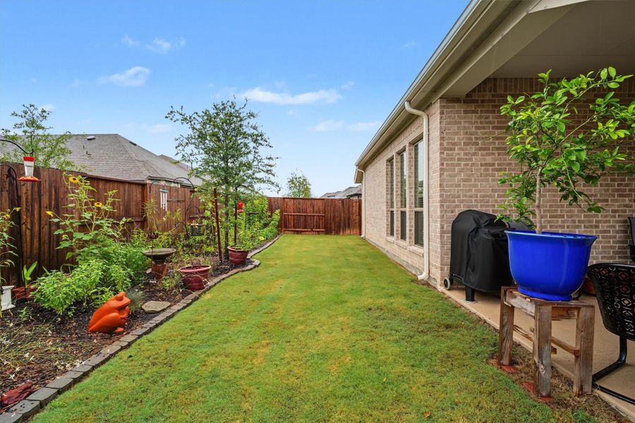 Back yard space with lush landscaping Back yard space with lush landscaping
