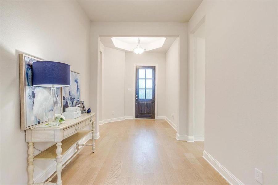 Foyer entrance with hardwood / wood-style flooring