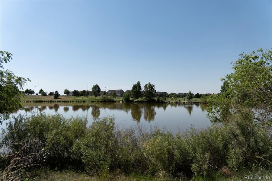 Natural landscape and outdoor views near  in Aurora (Image 38).