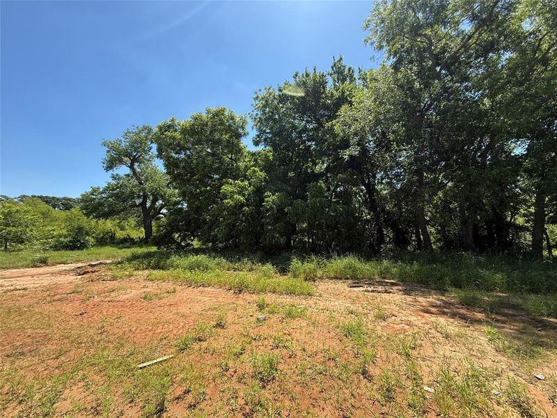 Natural landscape and outdoor views near Freeman Ranch in Weatherford (Image 16).