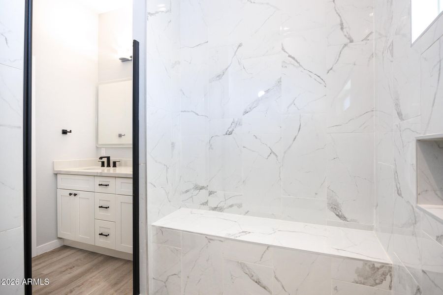 10153 W Wenden - Primary Shower 3