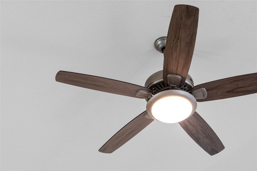 This sleek, modern ceiling fan adds both style and comfort to the room. This sleek, modern ceiling fan adds both style and comfort to the room.