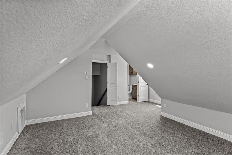 Bonus room featuring a textured ceiling, carpet, and lofted ceiling Bonus room featuring a textured ceiling, carpet, and lofted ceiling