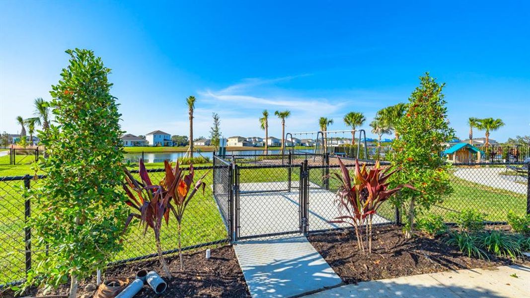Community amenities in Indigo Creek, Apollo Beach (Image 48).