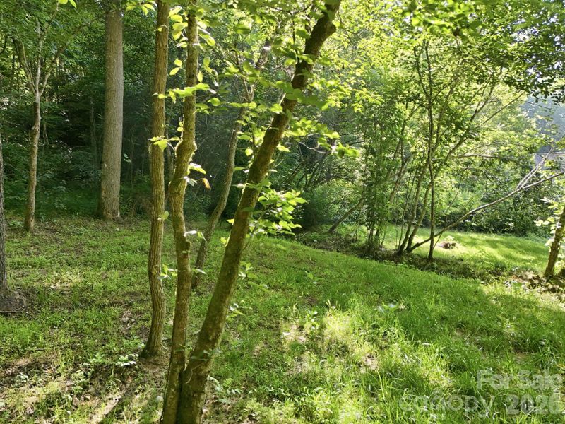 Lovely Community Area - Lovely Community Area -