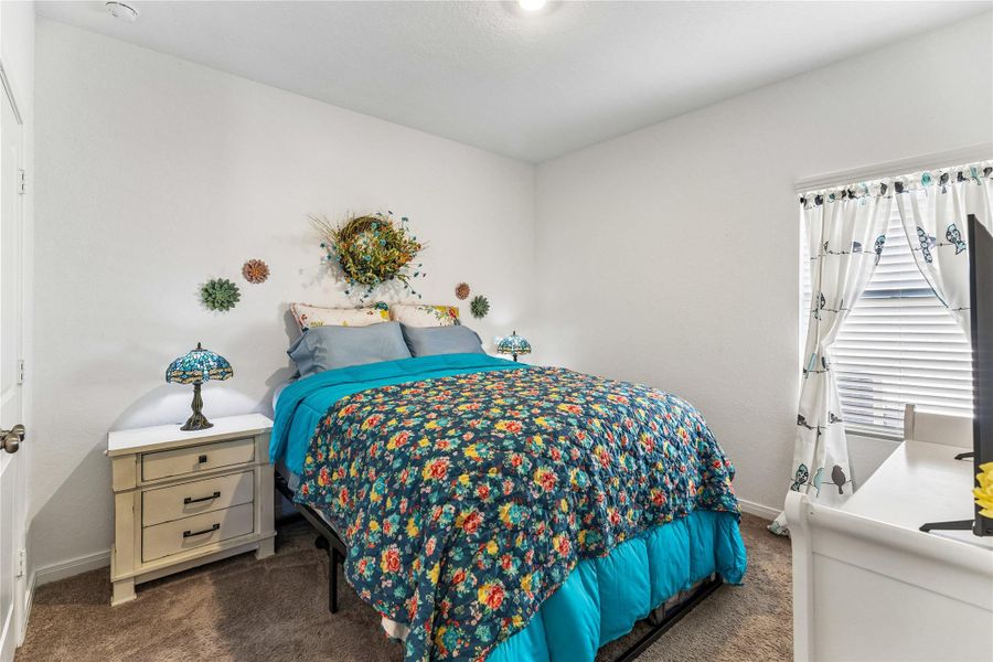 Carpeted room with a window featuring blinds and light-colored walls Carpeted room with a window featuring blinds and light-colored walls