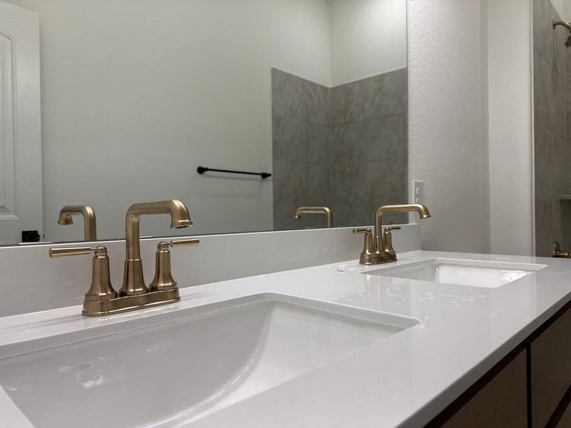 Bathroom view of double vanity and a stall shower