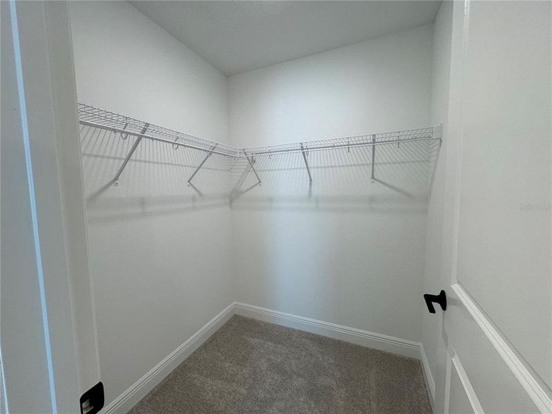 Spacious, unfurnished interior of a new home in , Bradenton (Image 27). Spacious, unfurnished interior of a new home in , Bradenton (Image 27).