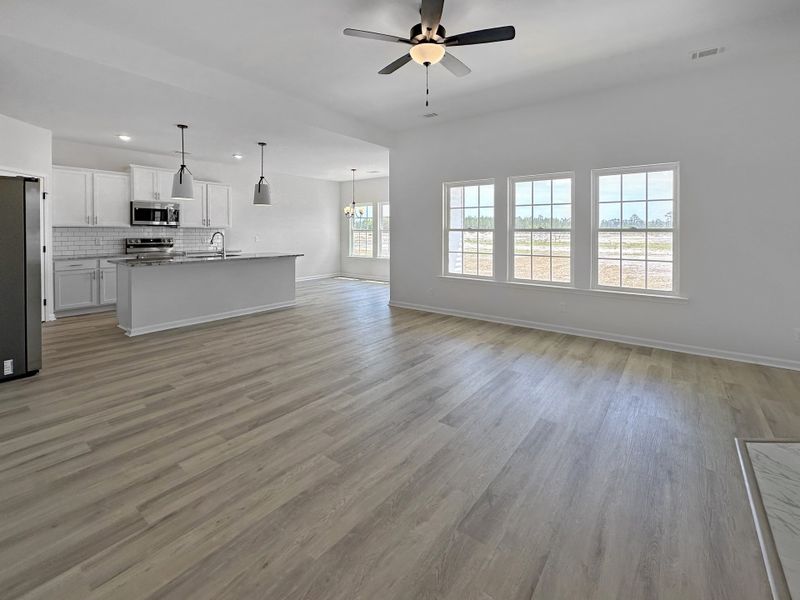 Spacious, unfurnished interior of a new home in Doctor's Creek, Ludowici (Image 12).