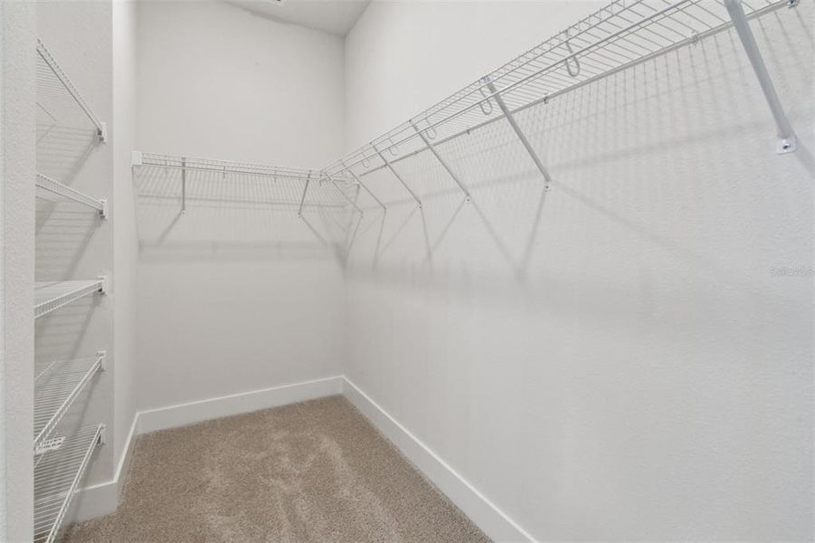 Spacious, unfurnished interior of a new home in Chapel Crossings - Garden Series, Wesley Chapel (Image 31).