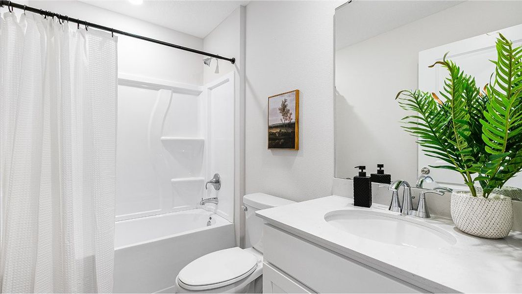 Florida Core N002 Bloom Bath2 Base6 7 18 25