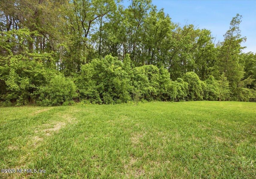 Natural landscape and outdoor views near  in Jacksonville (Image 33).