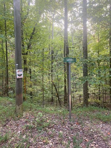 Natural landscape and outdoor views near  in Ranger (Image 9).