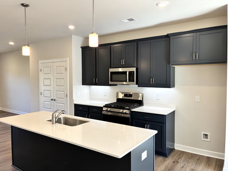 Furnished interior view inside a new home in Holly View, Greenville (Image 8). Furnished interior view inside a new home in Holly View, Greenville (Image 8).