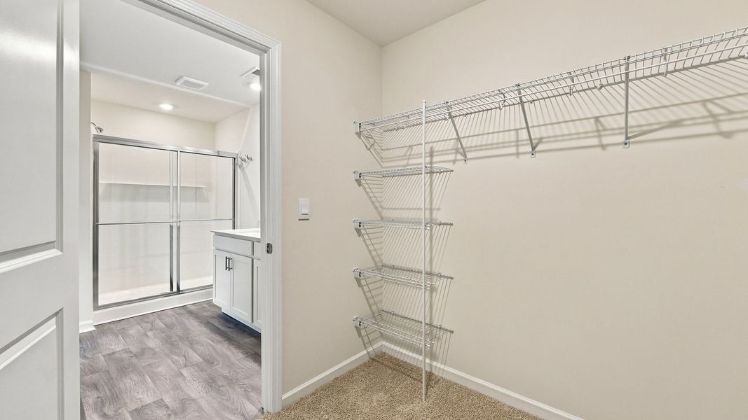 Spacious, unfurnished interior of a new home in Bynum Farms, Farmville (Image 20).