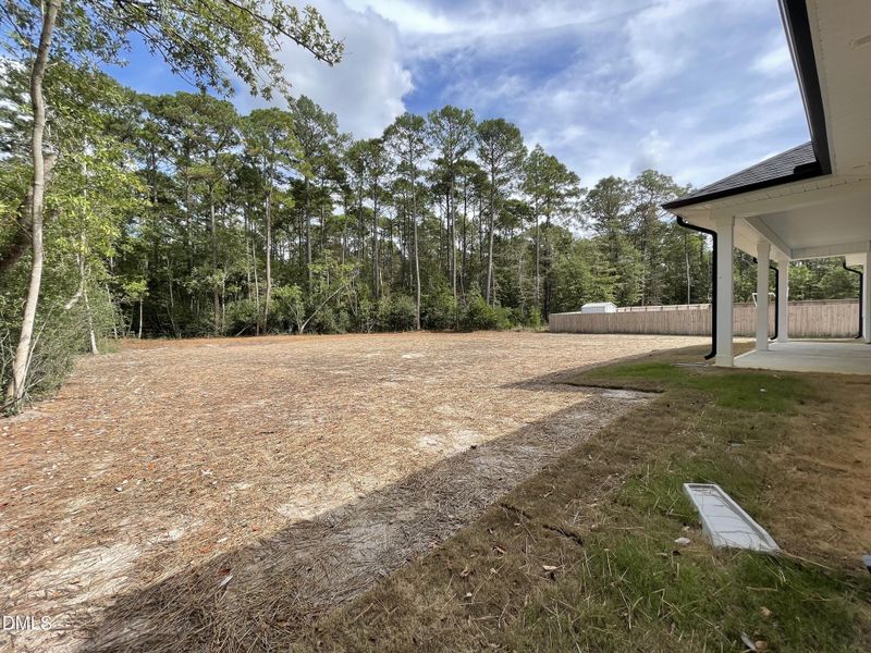 30 Backyard 30 Backyard