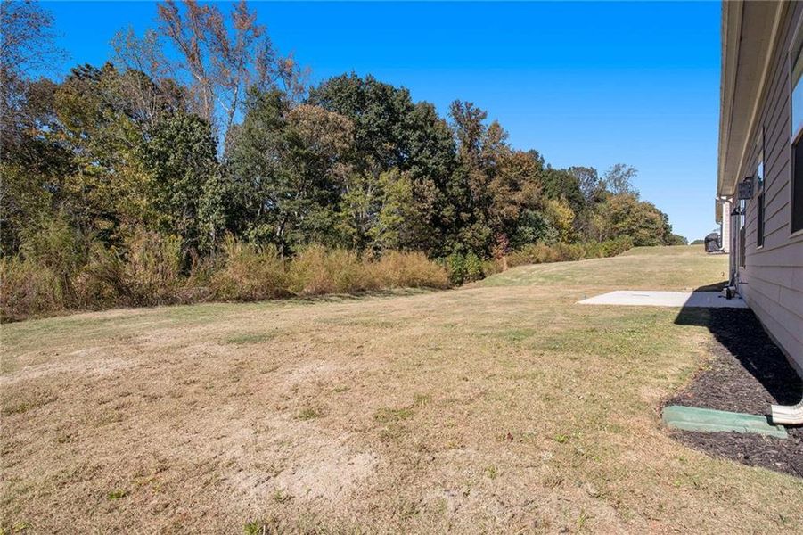 Natural landscape and outdoor views near Hellen Valley in Braselton (Image 26). Natural landscape and outdoor views near Hellen Valley in Braselton (Image 26).