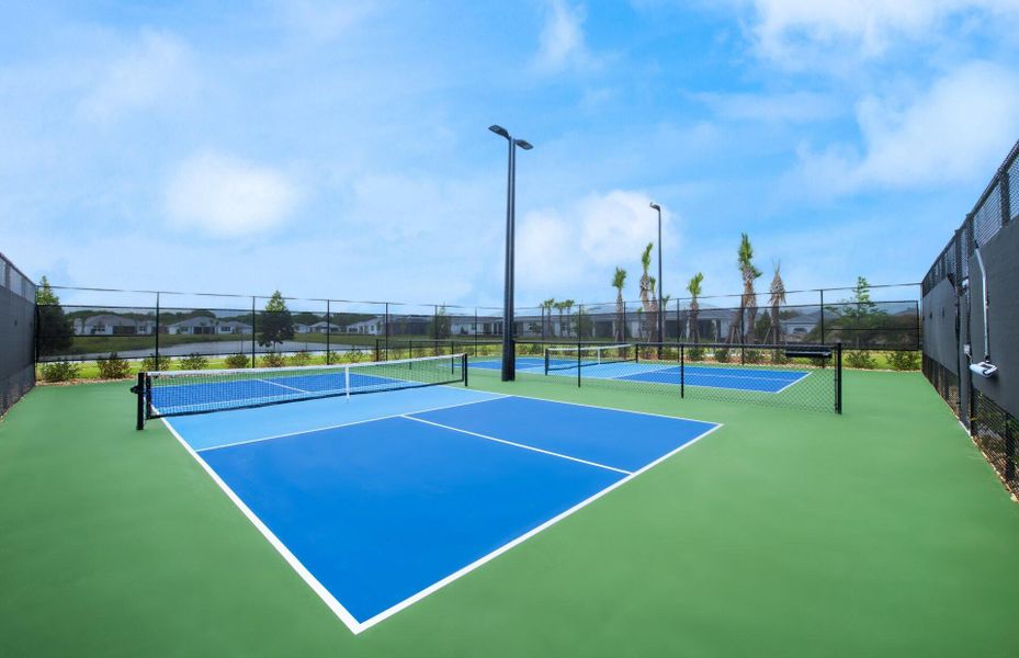 Pickleball Court