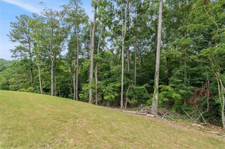 Natural landscape and outdoor views near Silvercrest Lakes in Acworth (Image 55).