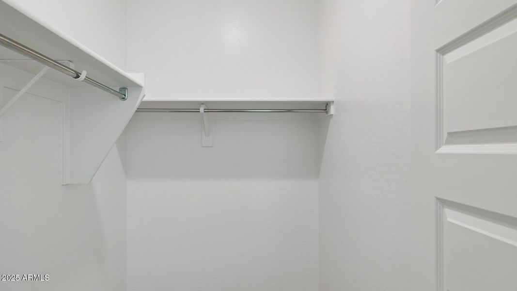 3985_Phoenician_Lot 2078_Aloravita_Peori