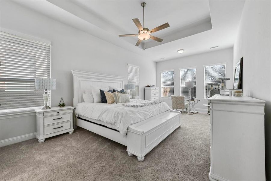 Bedroom with ceiling fan, carpet flooring, and a raised ceiling