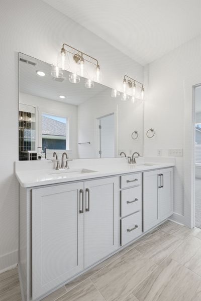 Owner's Bath