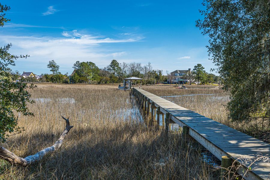 Natural landscape and outdoor views near in Johns Island (Image 75). Natural landscape and outdoor views near in Johns Island (Image 75).