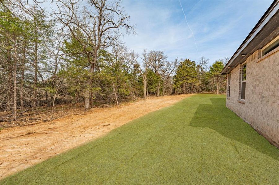 View of green lawn View of green lawn