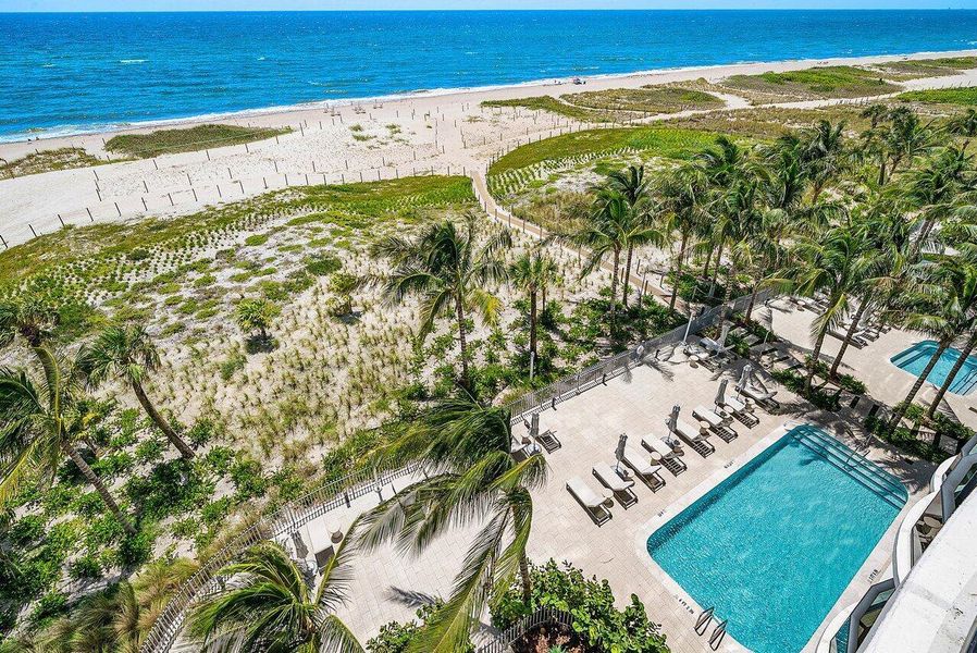 Pool & Ocean