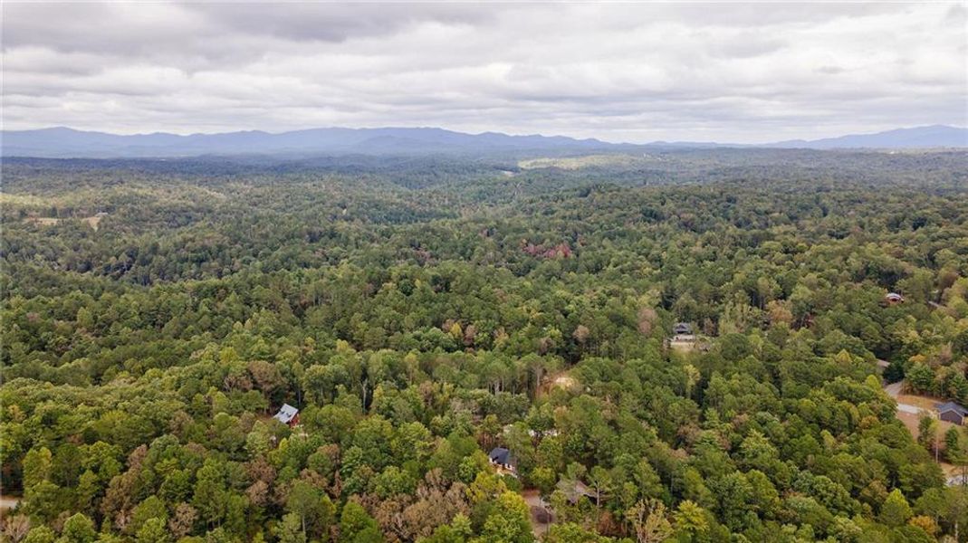 Natural landscape and outdoor views near  in Ellijay (Image 46).