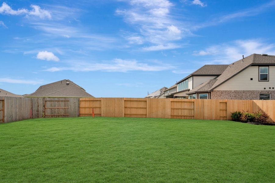 Backyard