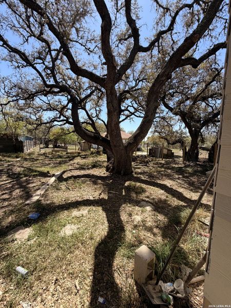 Natural landscape and outdoor views near  in Poteet (Image 13).
