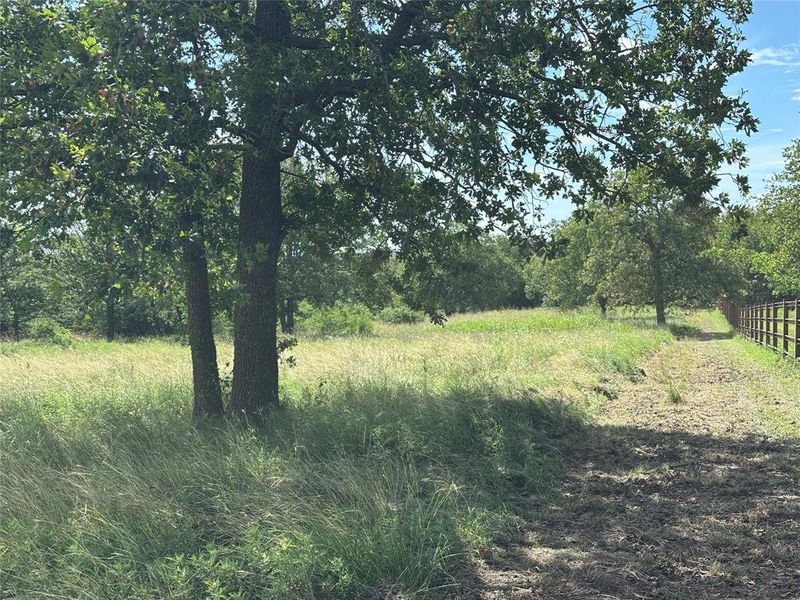 Natural landscape and outdoor views near in Springtown (Image 4). Natural landscape and outdoor views near in Springtown (Image 4).