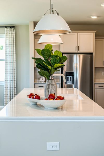 Representative interior finishes for a home built from the Watauga by McKee Homes in Coastal Haven, Leland (Image 10).