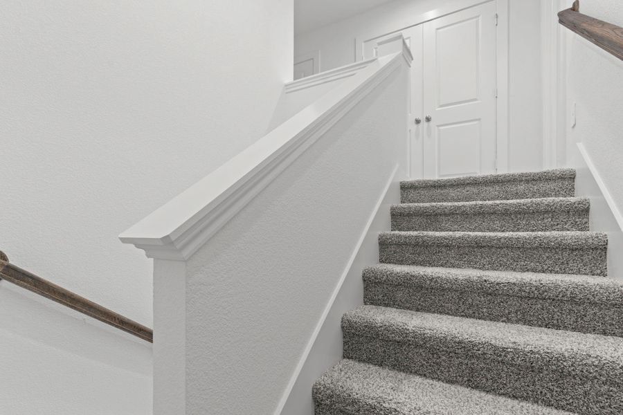 *Images and 3D tour are for illustration only and options may vary from home as built.