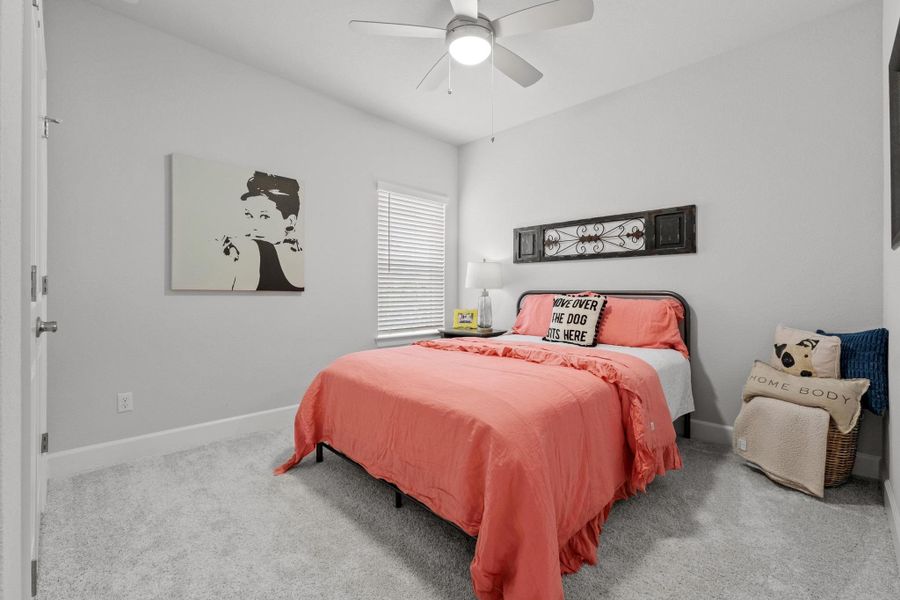 Carpeted bedroom with baseboards and a ceiling fan Carpeted bedroom with baseboards and a ceiling fan