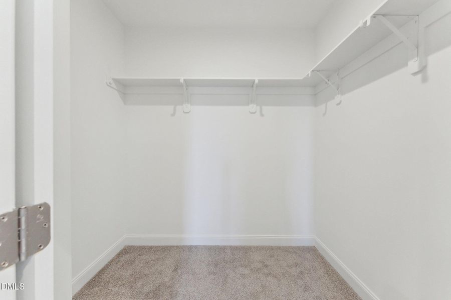 15-web-or-mls-DSC05486