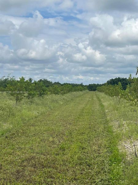 Natural landscape and outdoor views near  in Homestead (Image 6).