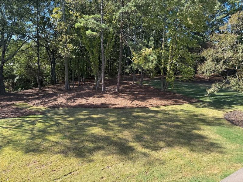 Natural landscape and outdoor views near  in Buford (Image 50).