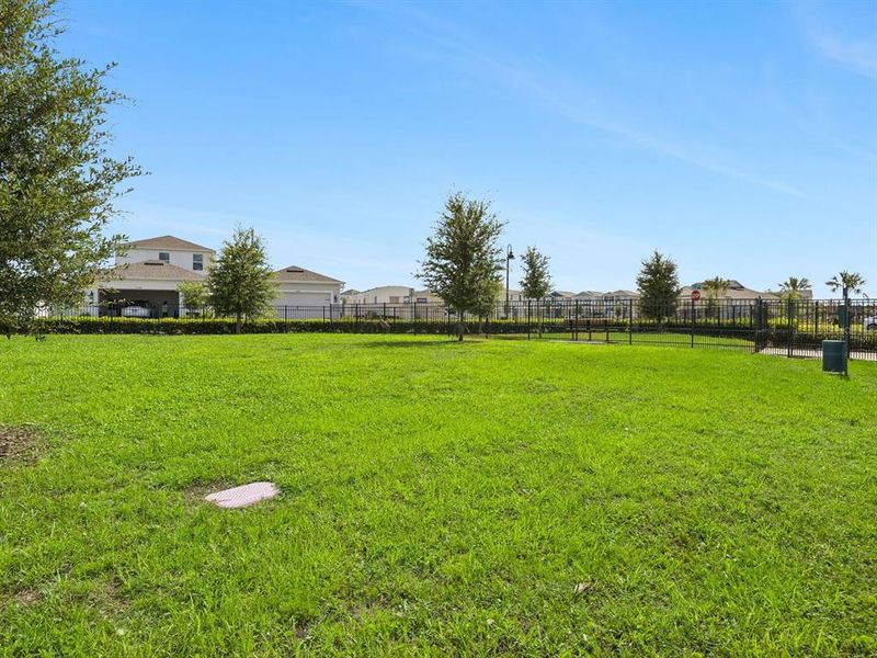 Natural landscape and outdoor views near Osprey Ranch in Winter Garden (Image 63).