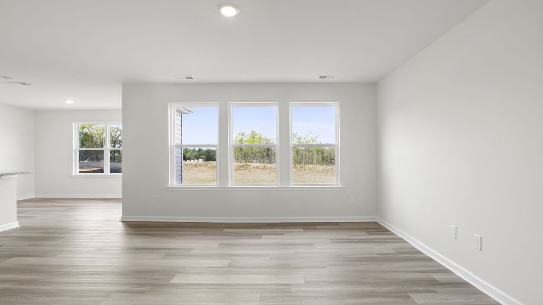 Spacious, unfurnished interior of a new home in Gibson Grove, Laurens (Image 18).
