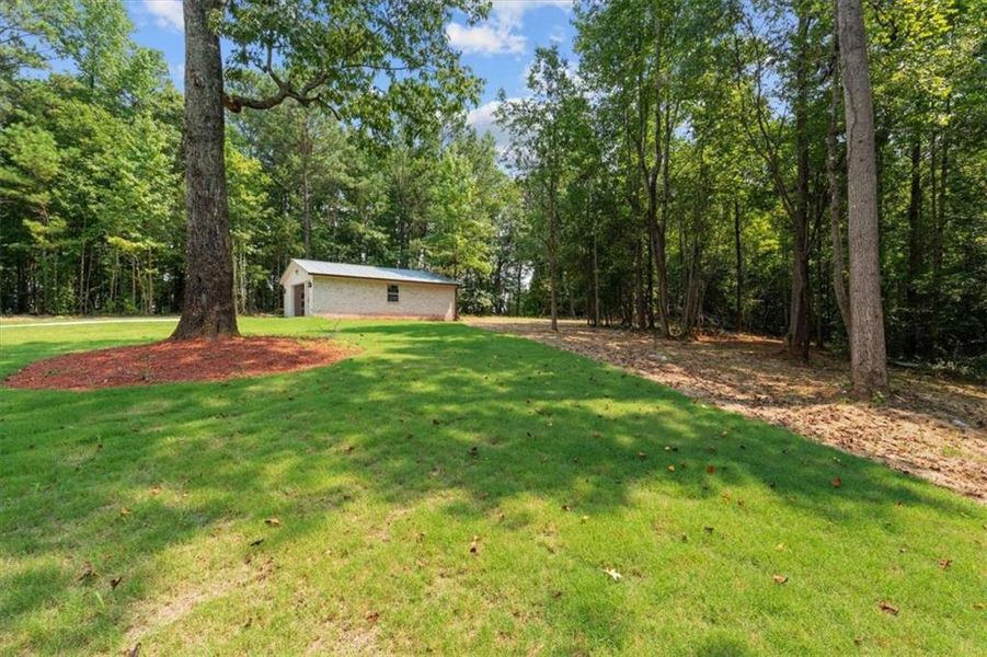 Natural landscape and outdoor views near  in Carrollton (Image 51).